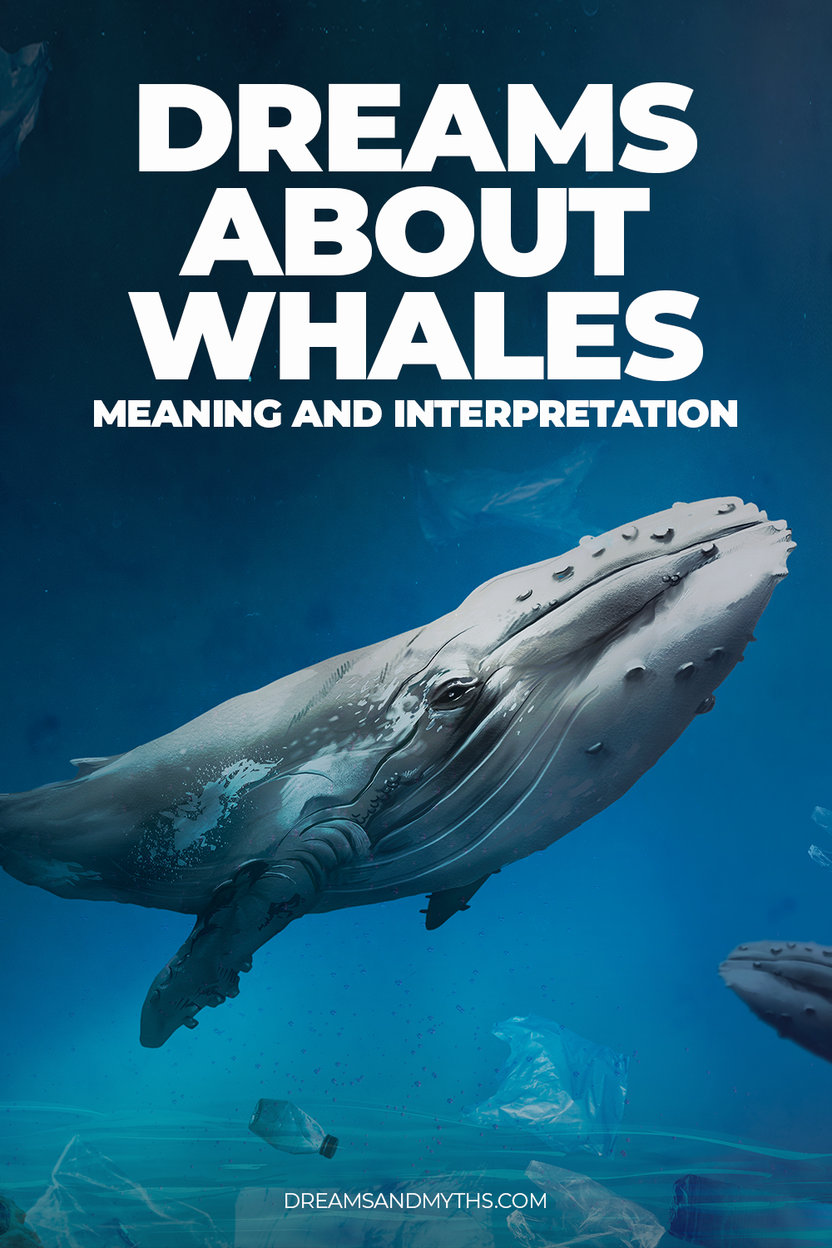  11 Interprétation des rêves de baleine