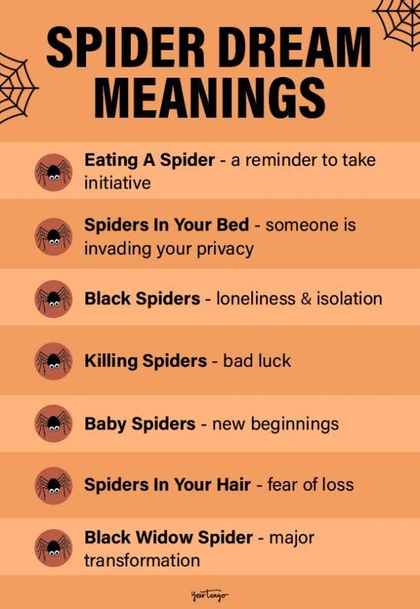  12 Interprétation des rêves d'araignée