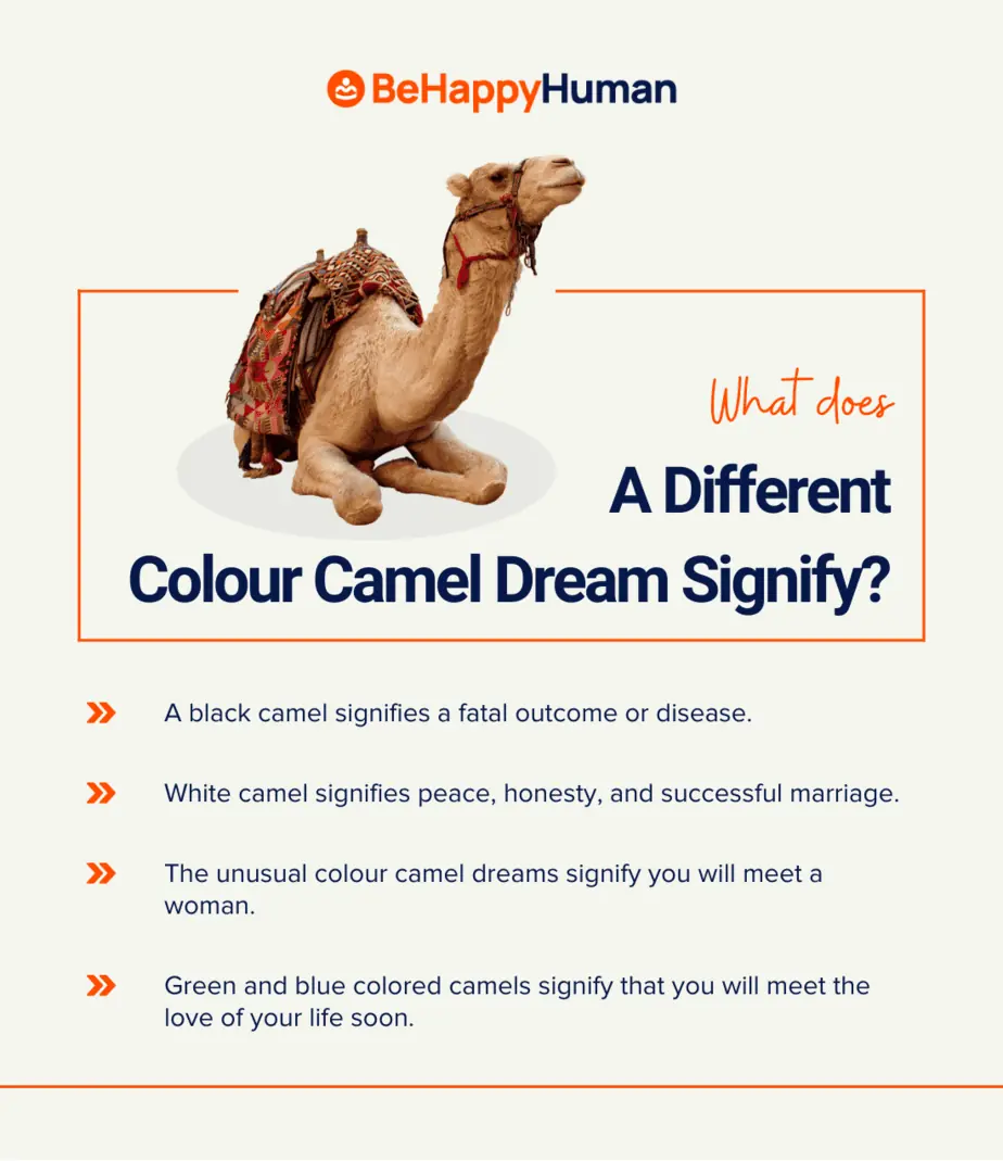  8 Interprétation des rêves de chameau