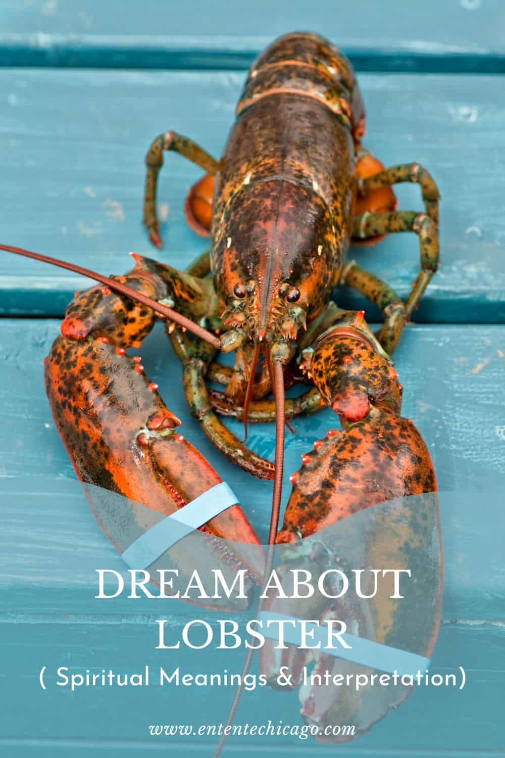  8 Interprétation des rêves de homard