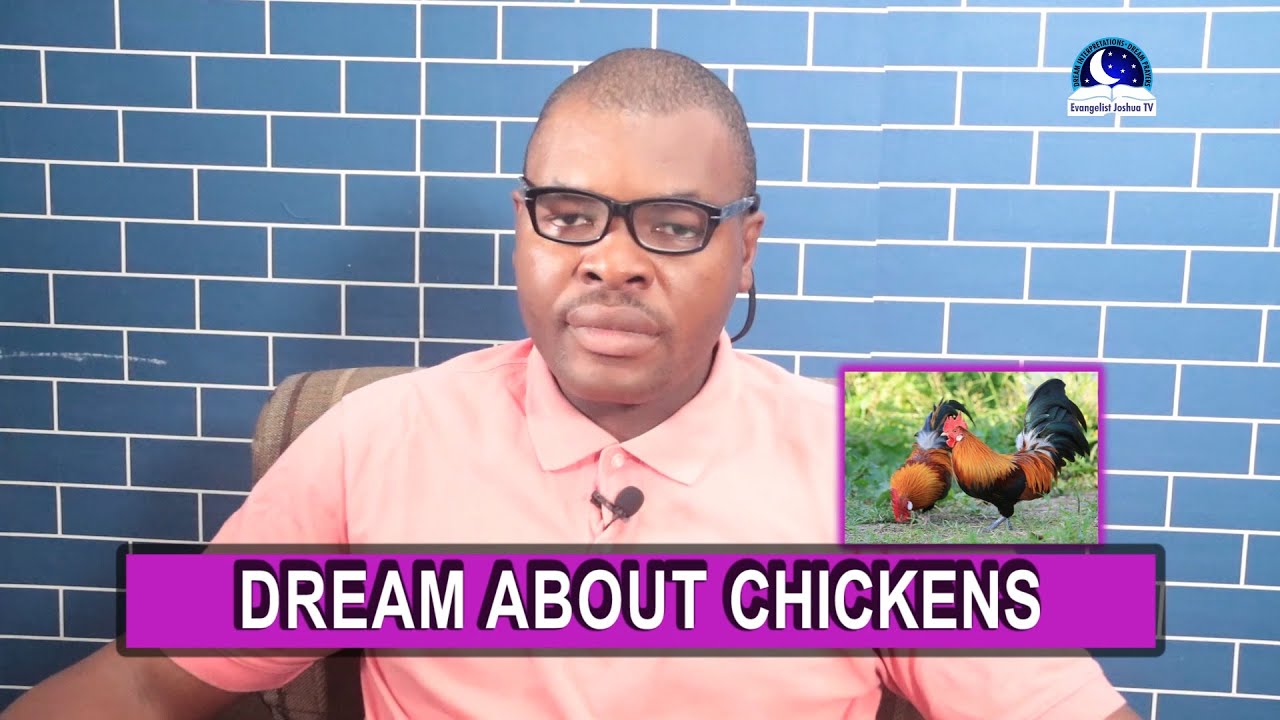  10 Interprétation des rêves de poulet noir