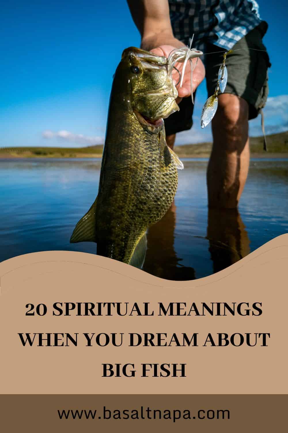  11 Kalapüügi unenäo tõlgendamine