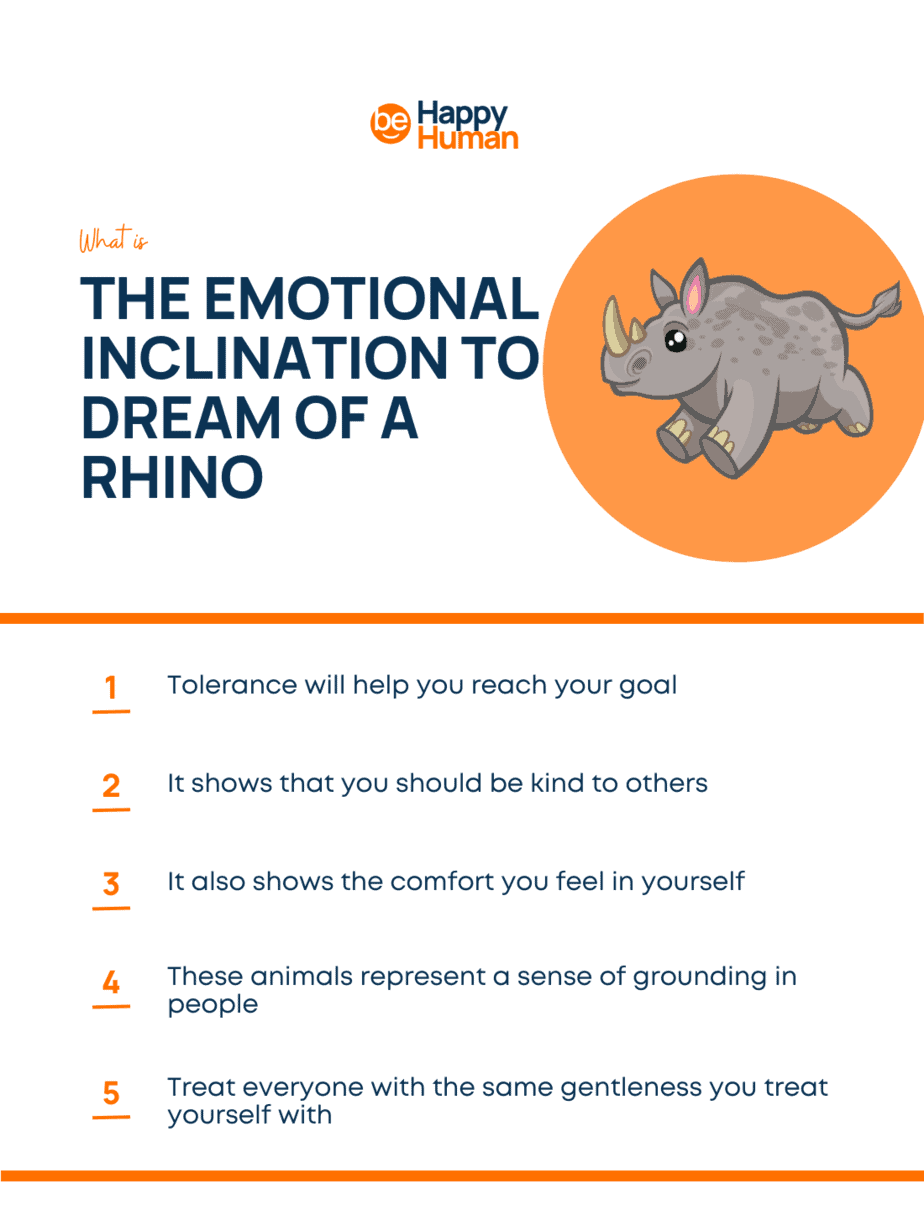  11 Výklad snu o nosorožci
