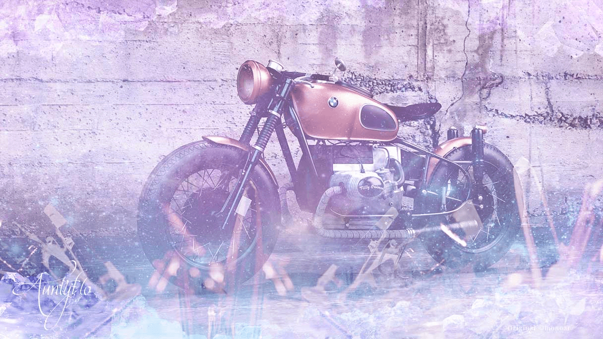  12 Motorcikla Sonĝo-Interpreto