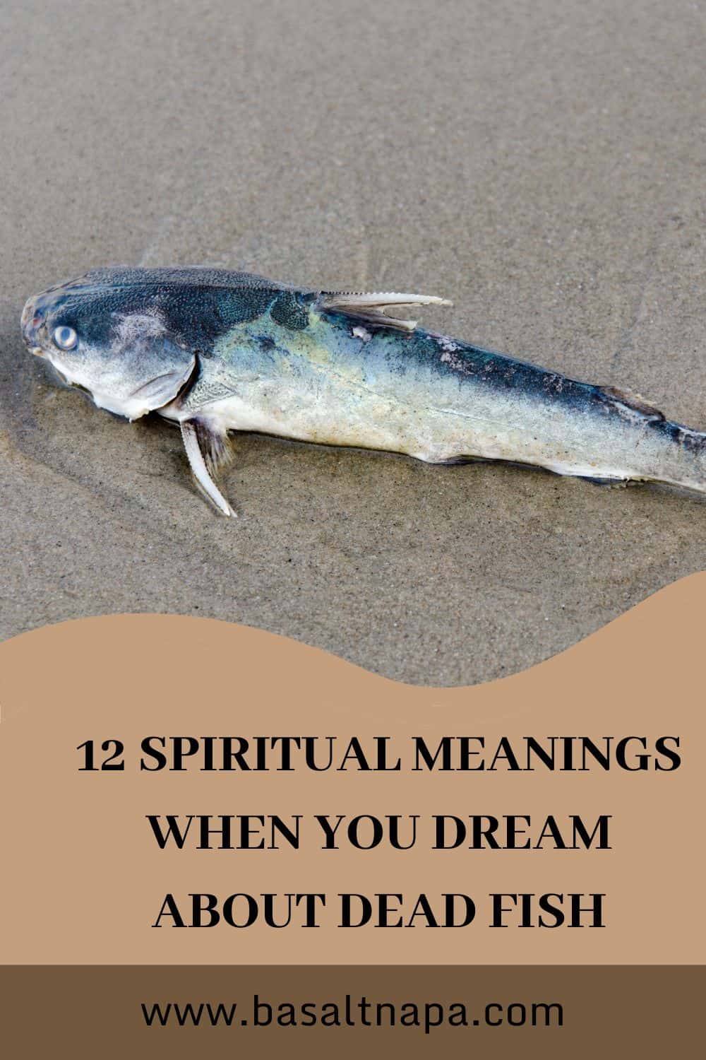  6 مردہ مچھلی خواب کی تعبیر