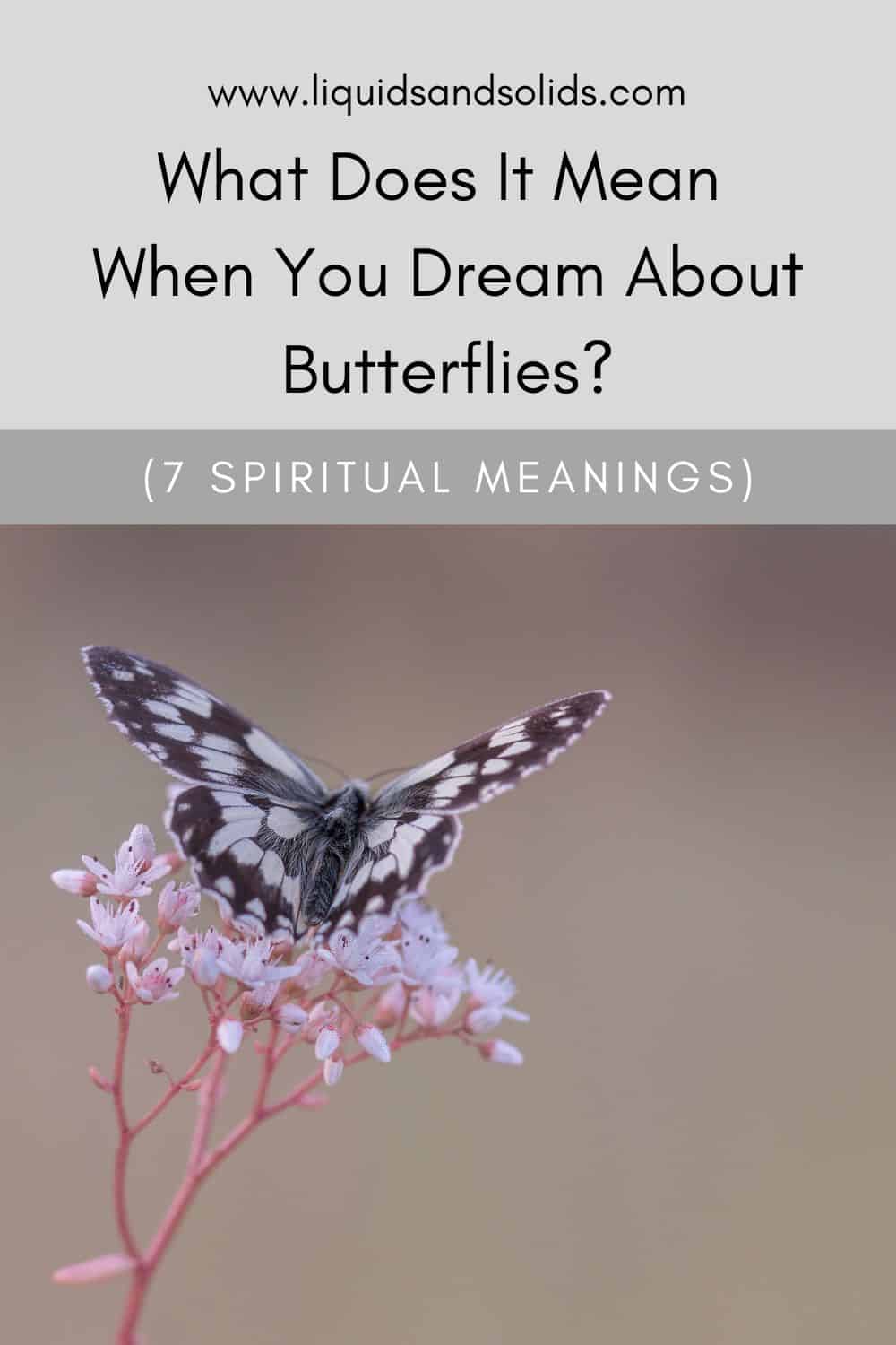  7 Interprétation des rêves de papillons