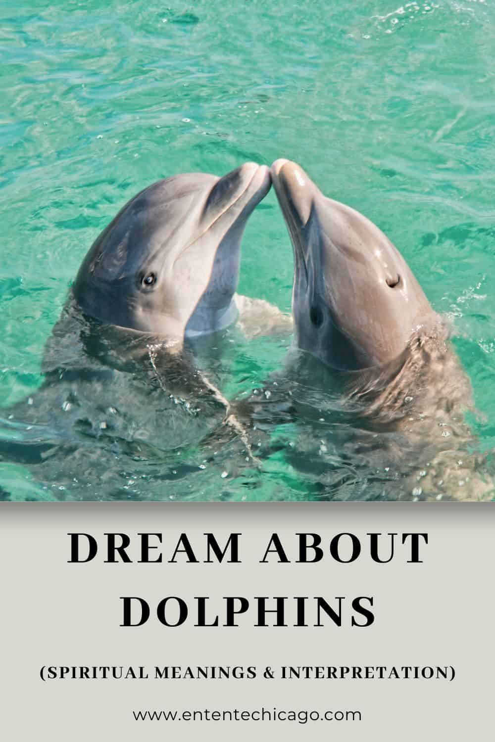  9 Interprétation des rêves de dauphins