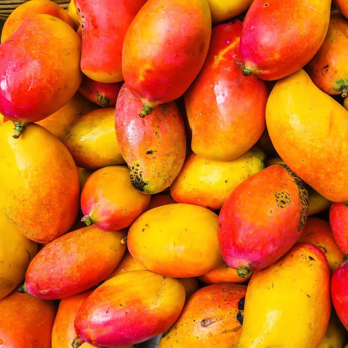  9 Interprétation des rêves de mangue