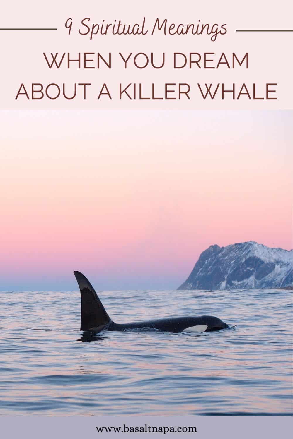  9 Interpretazione del sogno dell'orca