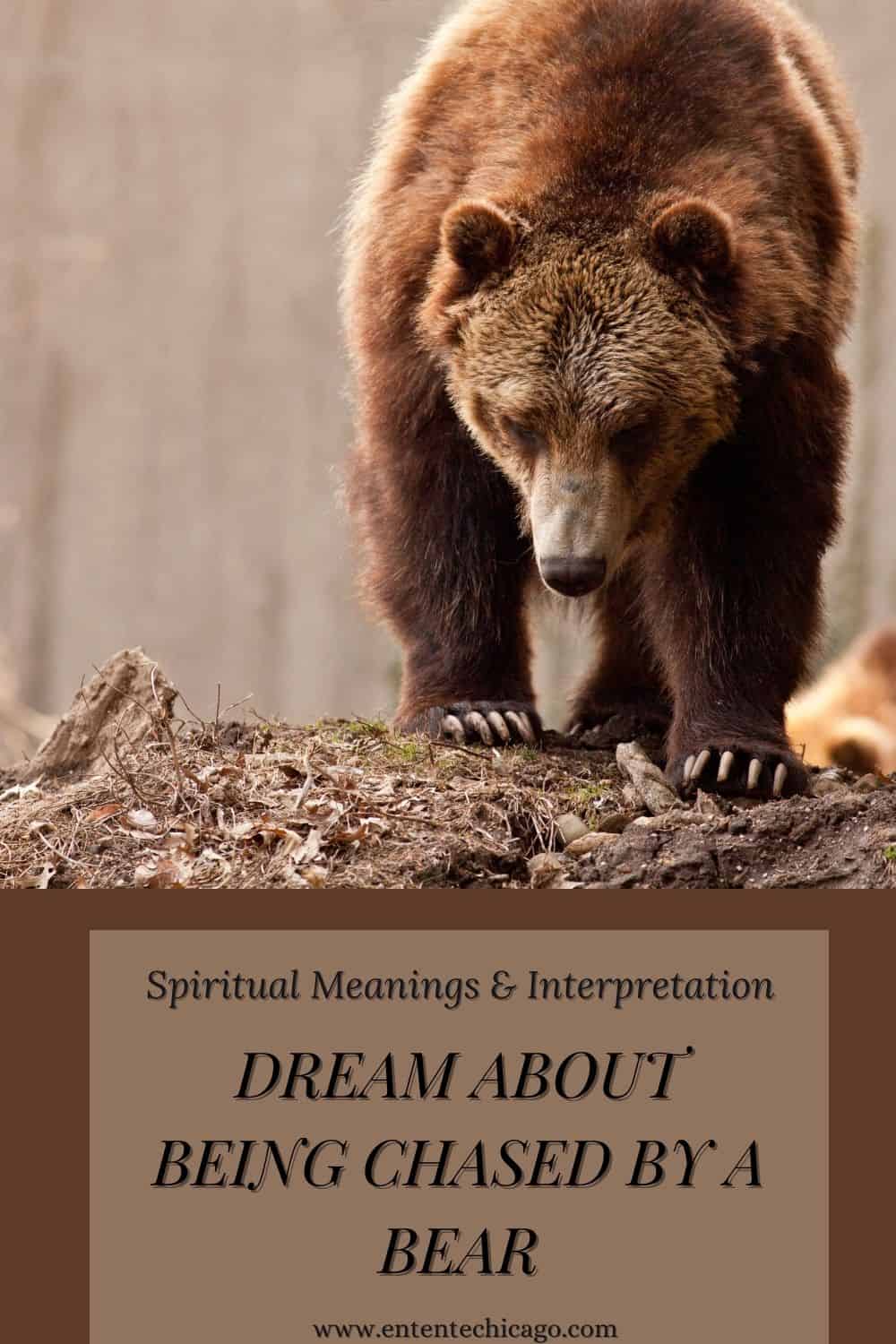  Толкование снов Медведь преследует вас
