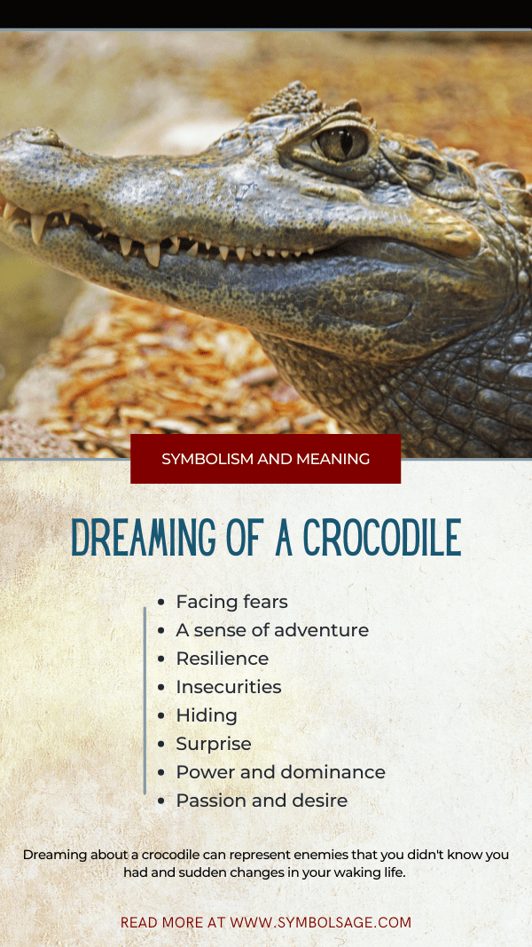  Interpretación de los sueños Ataque de cocodrilo