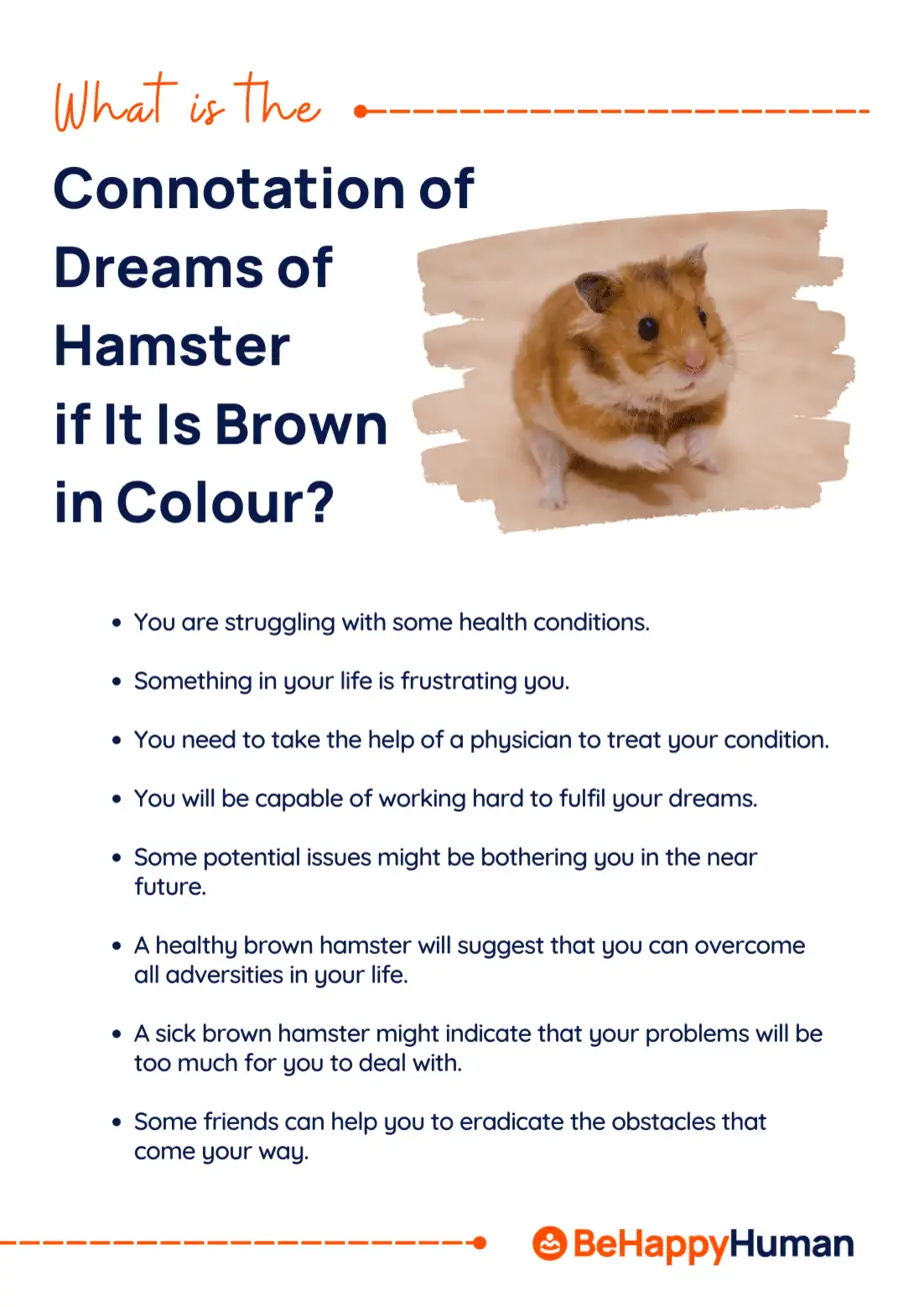  Dream ynterpretaasje fan in deade hamster