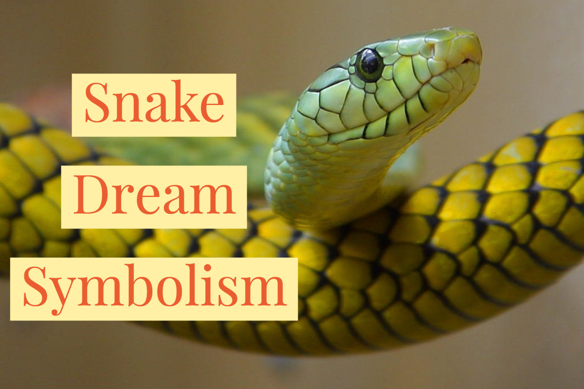  Výklad snov o veľkých hadoch