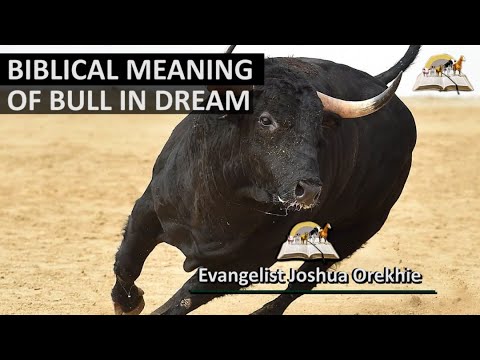  Толкување на соништата за напад на бик