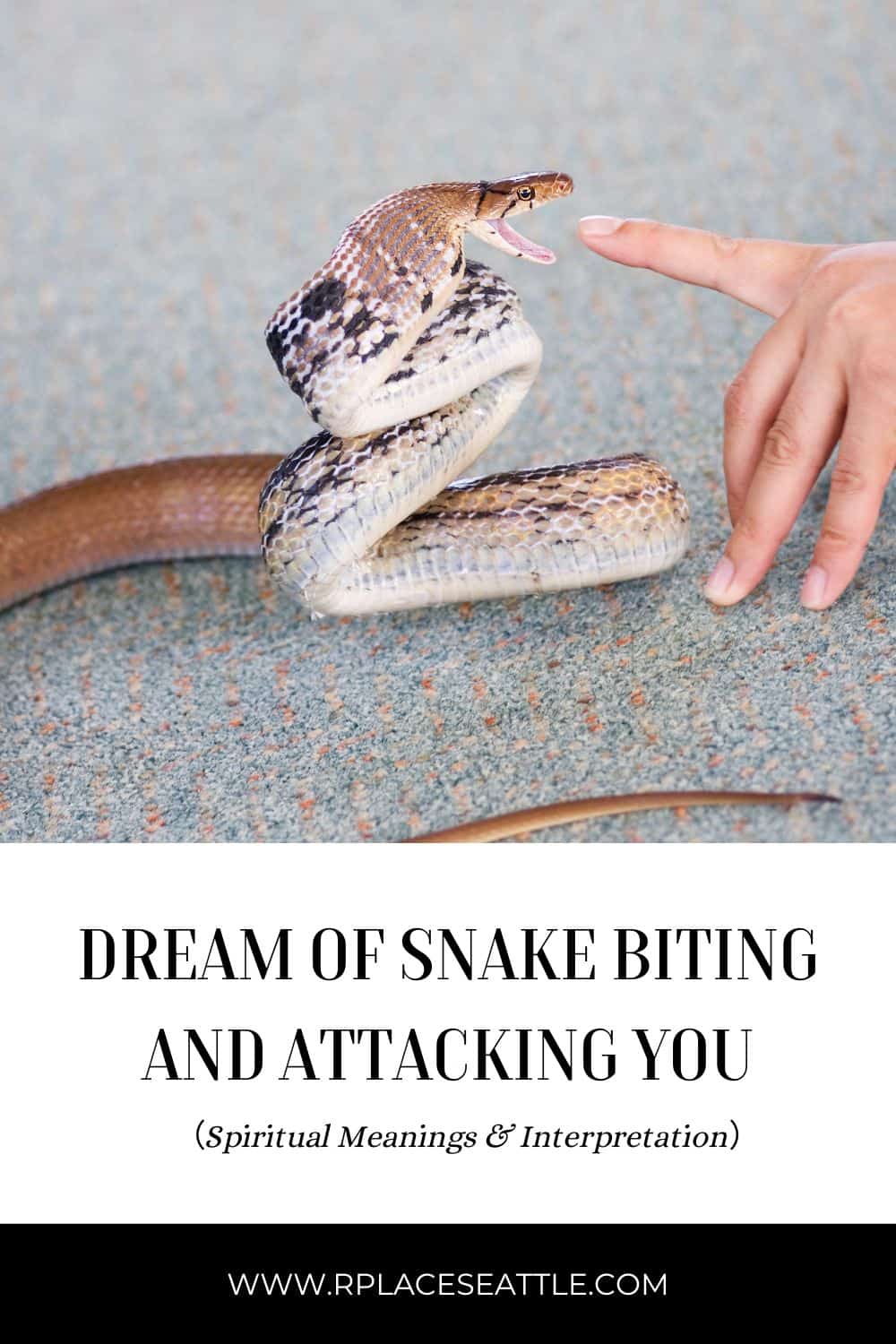  Dream Interpretation Of Snake Biting Someone