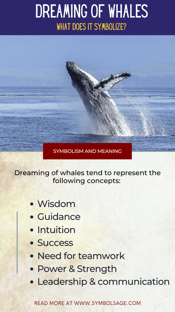  Σημασία ονείρου της μπλε φάλαινας